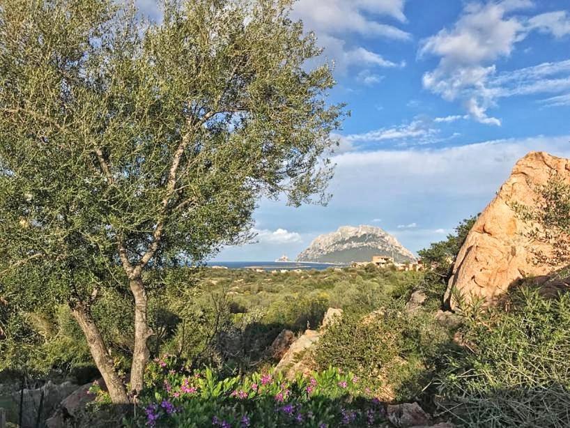 Le Caterine Villa Porto San Paolo  Ngoại thất bức ảnh